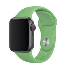 Ремінець для Apple Watch 38mm/40mm Silicone Watch Band Spearmint